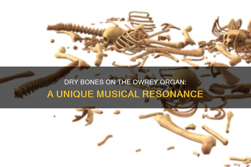 how does dry bones sound on a owrey organ