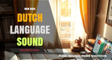 Exploring the Unique Melody and Rhythm of the Dutch Language