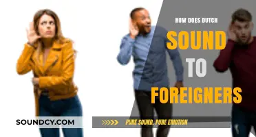 How Dutch Sounds to Foreign Ears: Unique, Musical, or Unfamiliar?