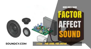 Exploring the Impact of Key Factors on Sound Quality and Perception