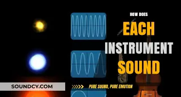 Exploring the Unique Sounds of Musical Instruments: A Comprehensive Guide
