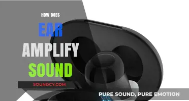 How the Ear Amplifies Sound: Unveiling the Inner Ear's Acoustic Magic