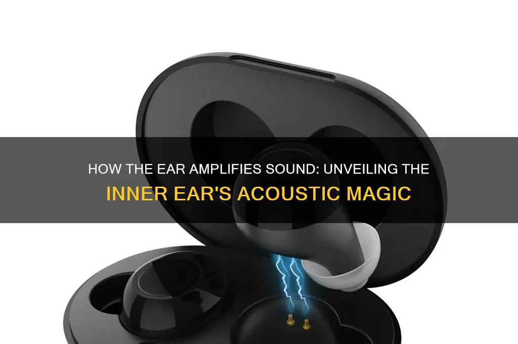 how does ear amplify sound