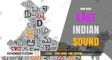 Exploring the Unique and Rich Sounds of East Indian Languages