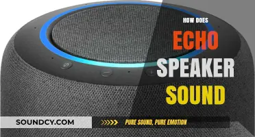 Echo Speaker Sound Quality: Crisp, Clear, and Immersive Audio Experience