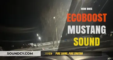 EcoBoost Mustang Sound: A Unique Blend of Power and Performance