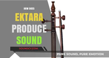 Unveiling the Ektara's Magic: How This Single-String Instrument Creates Sound