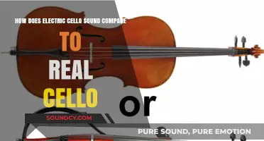 Electric vs. Acoustic Cello: Sound Comparison and Unique Qualities