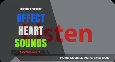 Exercise's Impact on Heart Sounds: Understanding Cardiac Changes During Physical Activity