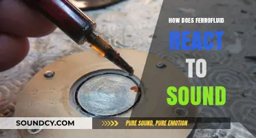 Exploring Ferrofluid's Dance: Sound-Induced Reactions and Visual Spectacle