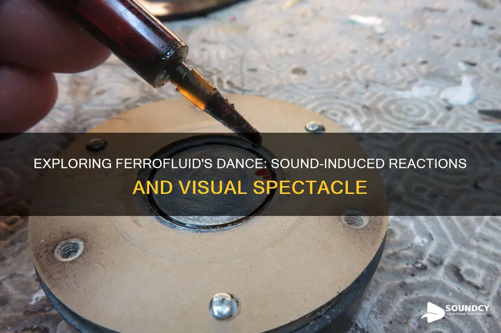 how does ferrofluid react to sound