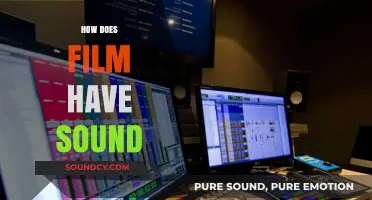 Unveiling the Magic: How Film Captures and Delivers Sound