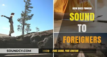 Finnish Language: A Unique Melody or Tongue-Twisting Challenge for Foreigners?