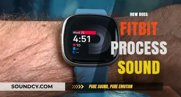 How Fitbit Processes Sound: Technology, Features, and User Experience Explained