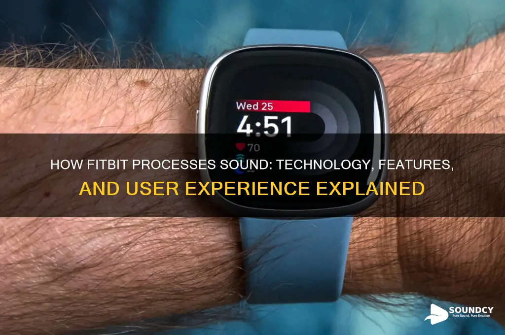 how does fitbit process sound