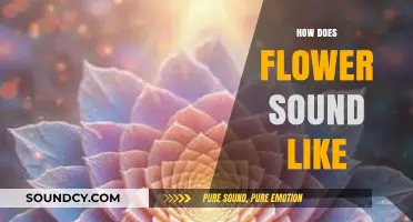 Exploring the Surprising Sounds of Flowers: A Symphony of Nature's Whispers