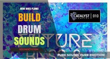Unveiling Flume's Drum Sound Design Techniques and Creative Process