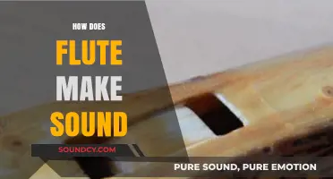 Understanding the Science Behind Flute Sound Production: A Beginner's Guide