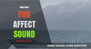 How Fog Alters Sound Waves and Impacts Acoustic Perception