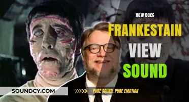Frankenstein's Auditory Perception: Exploring the Creature's Unique Experience of Sound
