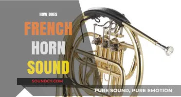 Exploring the Rich, Warm, and Versatile Sound of the French Horn