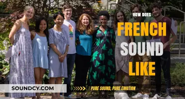 Exploring the Unique Melody and Rhythm of the French Language