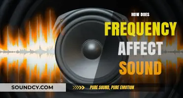 How Frequency Shapes Sound: Understanding Pitch, Tone, and Perception