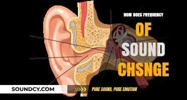 Understanding How Sound Frequency Changes and Its Impact on Perception