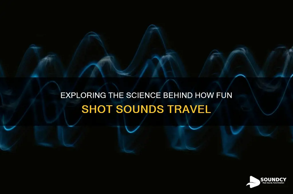 how does fun shot sound travel
