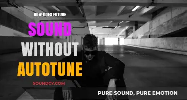 The Raw Future of Music: Autotune-Free Sounds and Authenticity