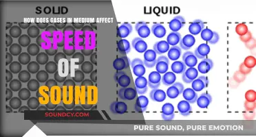 How Gases in Medium Influence the Speed of Sound Waves