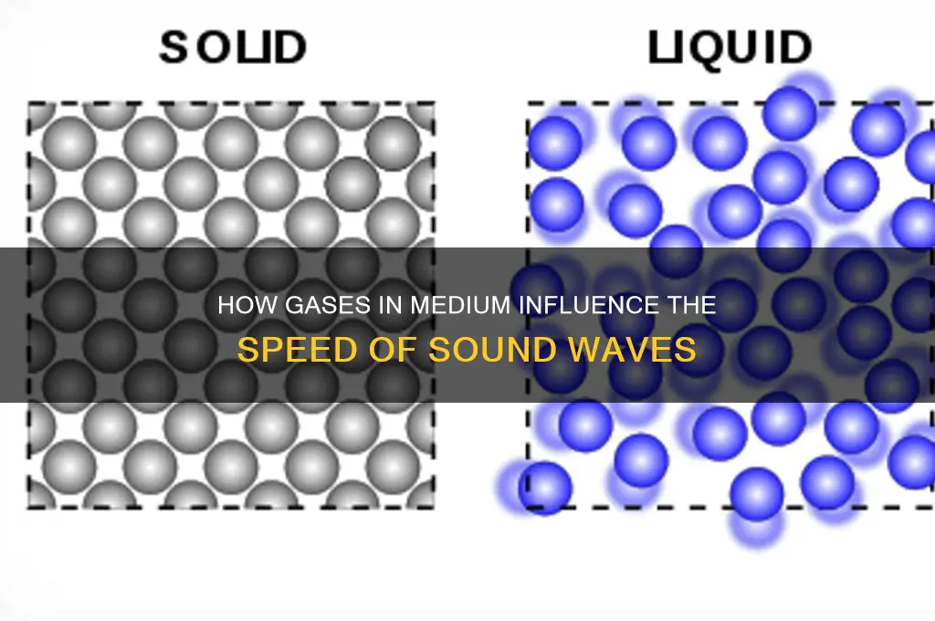 how does gases in medium affect speed of sound