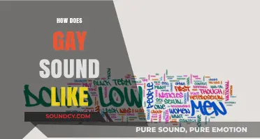 Exploring the Nuances: How Does the Word 'Gay' Sound in Context?