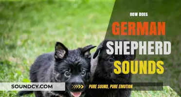 Understanding the Unique Sounds of German Shepherds: Barks, Whines, and More