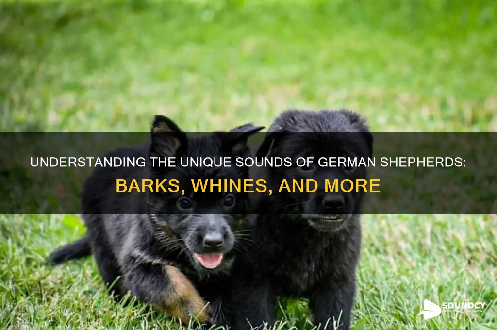 how does german shepherd sounds