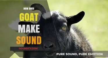 Understanding the Unique Vocalizations: How Goats Produce Their Distinct Sounds