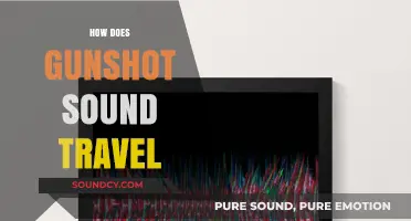 How Gunshot Sounds Travel: Physics, Perception, and Environmental Factors