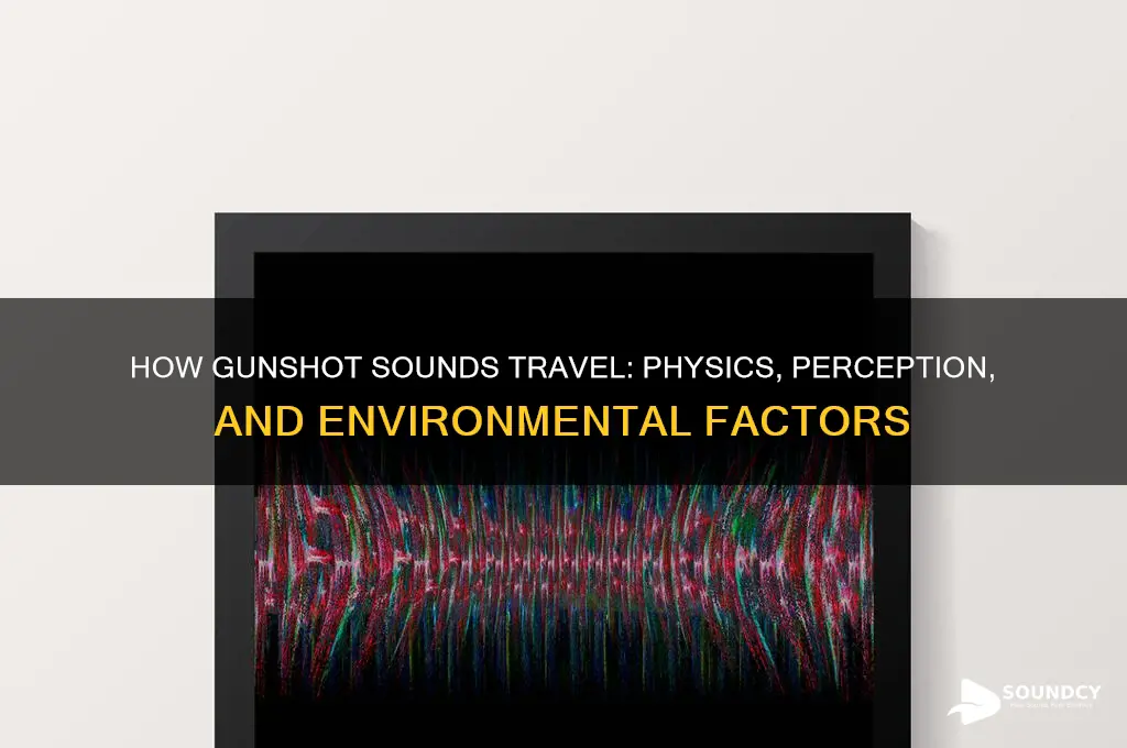 how does gunshot sound travel