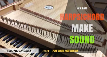 Unveiling the Harpsichord's Mechanics: How Plucking Strings Creates Unique Sounds