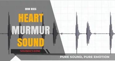 Understanding Heart Murmur Sounds: What to Listen For and Why
