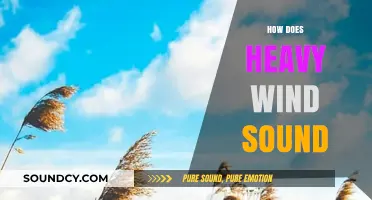The Roaring Whisper: Understanding the Sonic Power of Heavy Winds