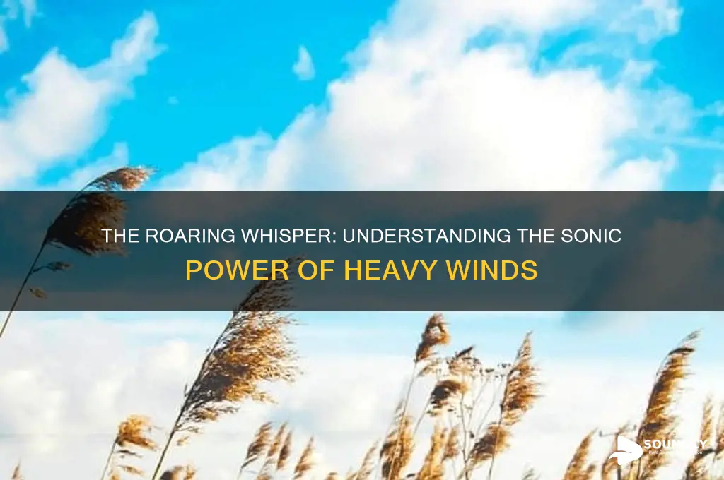 how does heavy wind sound