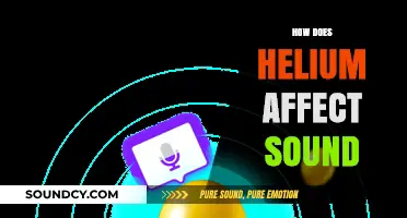 How Helium Transforms Sound: Exploring the Science Behind the Squeaky Voice
