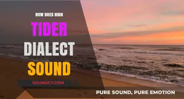 Exploring the Unique Sounds of the High Tider Dialect