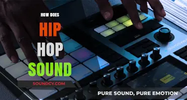 Exploring the Beats, Rhythms, and Vibes of Hip Hop's Signature Sound