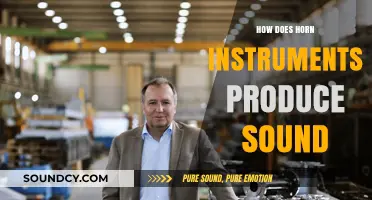Unveiling the Science Behind Horn Instruments' Sound Production