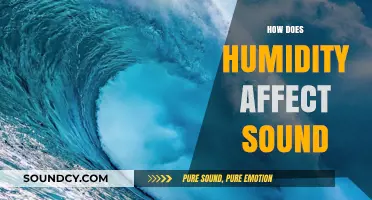 Humidity's Impact on Sound: Exploring the Science Behind Acoustic Changes