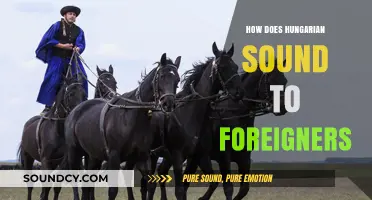 How Hungarian Sounds to Foreign Ears: Unique Rhythms and Accents Explored