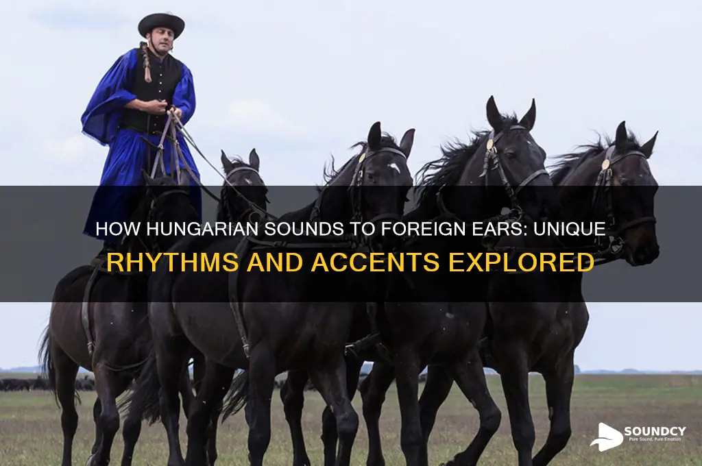 how does hungarian sound to foreigners