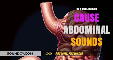 Understanding the Science Behind Hunger-Induced Abdominal Noises
